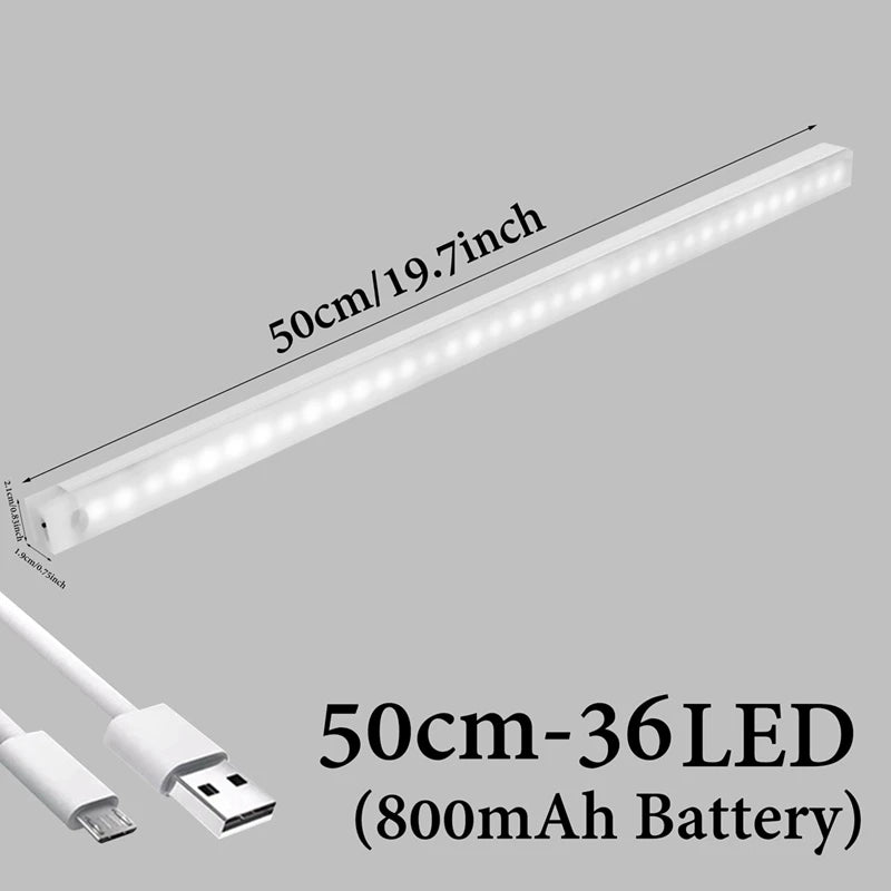 Ambient LED Motion Light