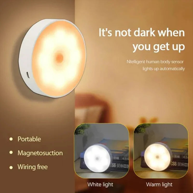 Guardian Motion Sensor Light