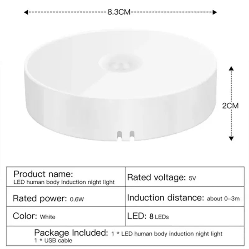 Guardian Motion Sensor Light