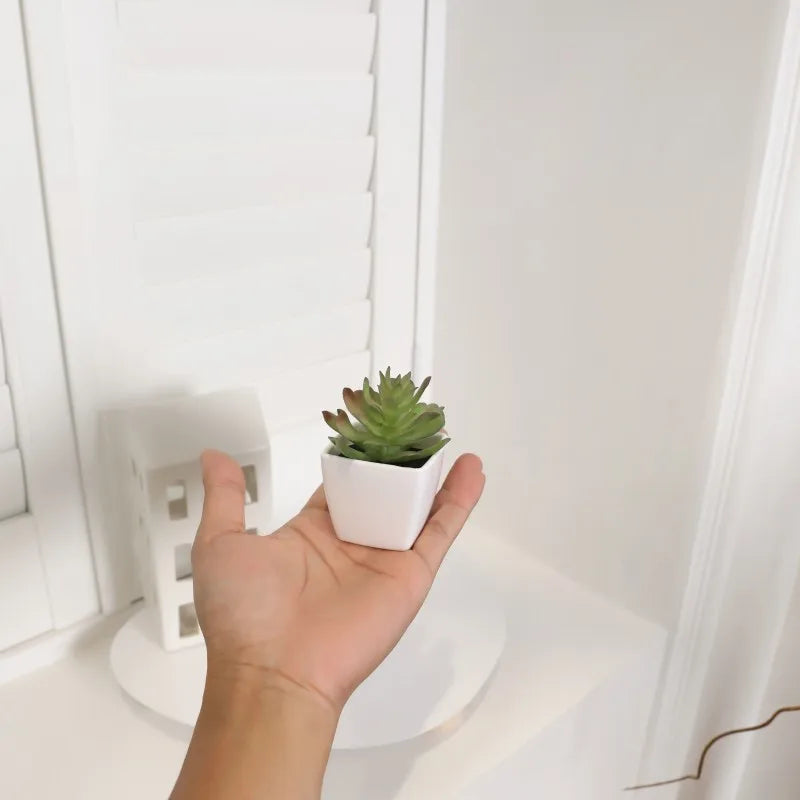 Chic Artificial Miniature Succulent Set